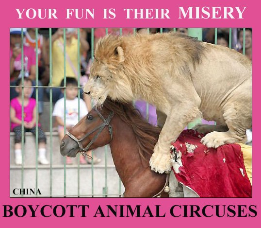 Abolish Circuses